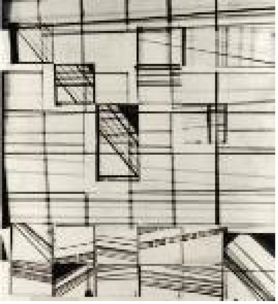 Precincts - Photogram